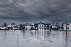 What to Do After Storm Damage Affects Your Business
